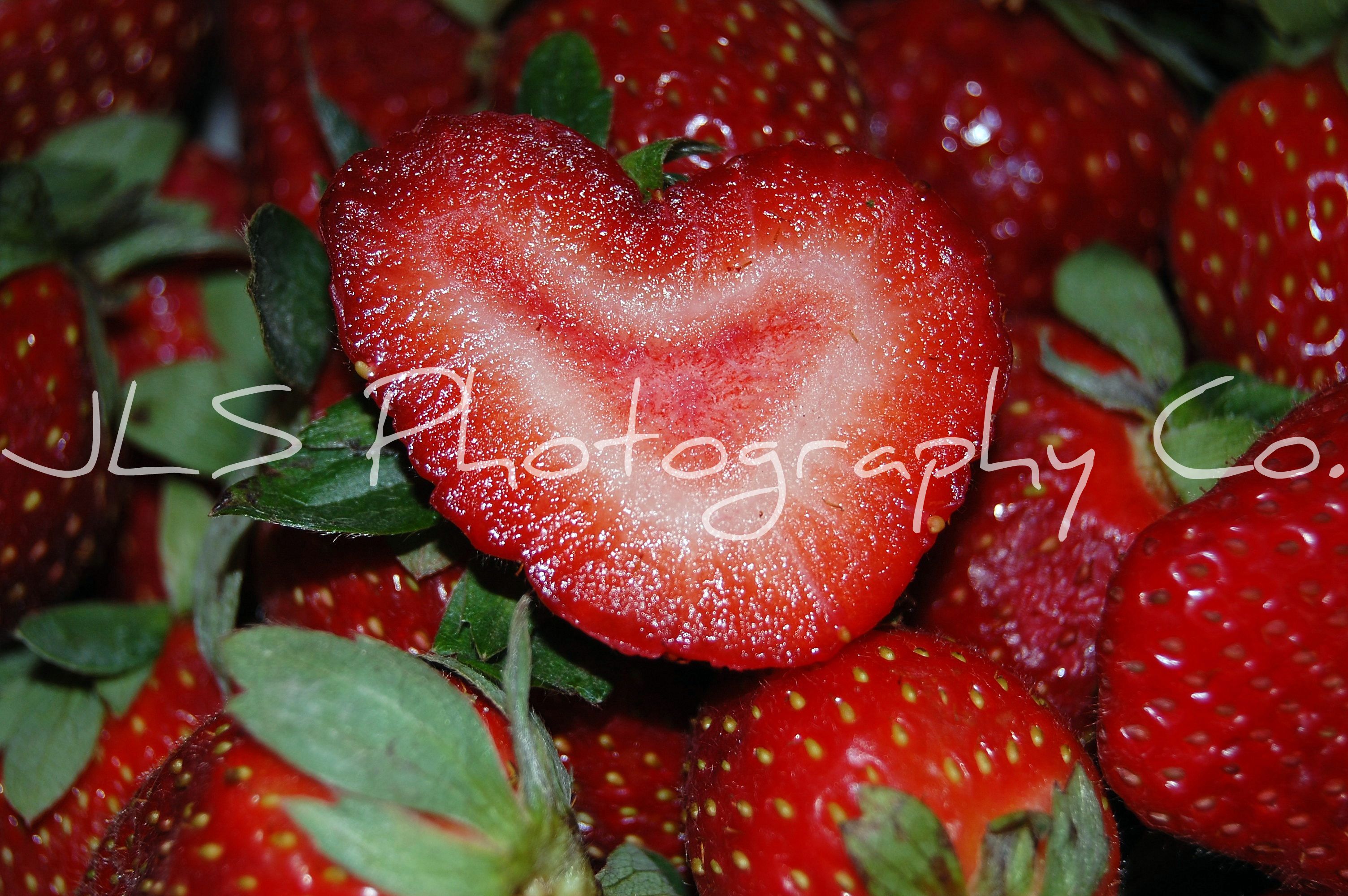 dsc_0432.jpg